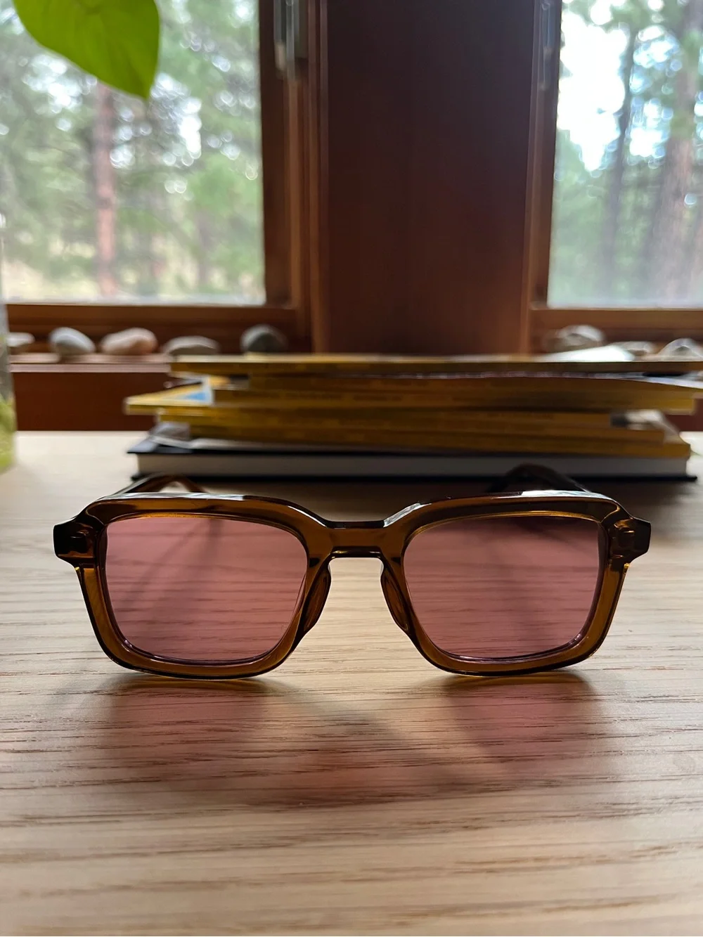 Quince Sunglasses